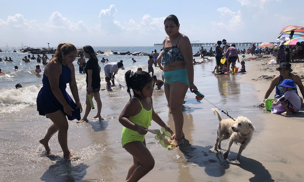 https://urbansniffs.com/wp-content/uploads/2022/02/A-Guide-to-Dog-Friendly-Beaches-in-NYC.jpg