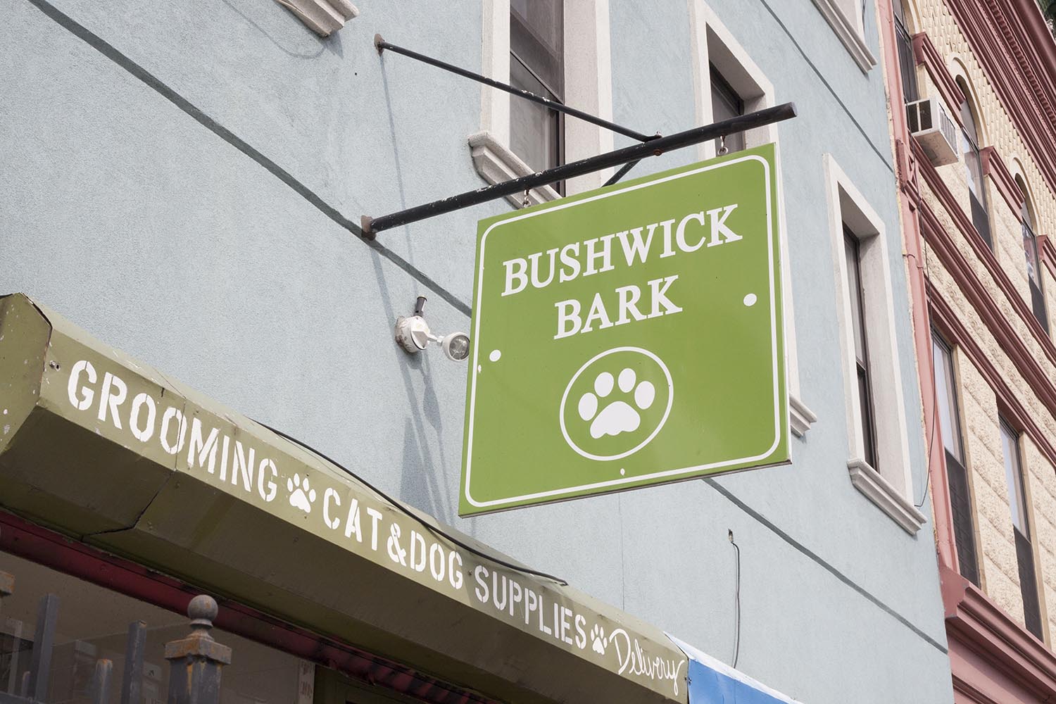 Bushwick Bark on Knickerbocker
