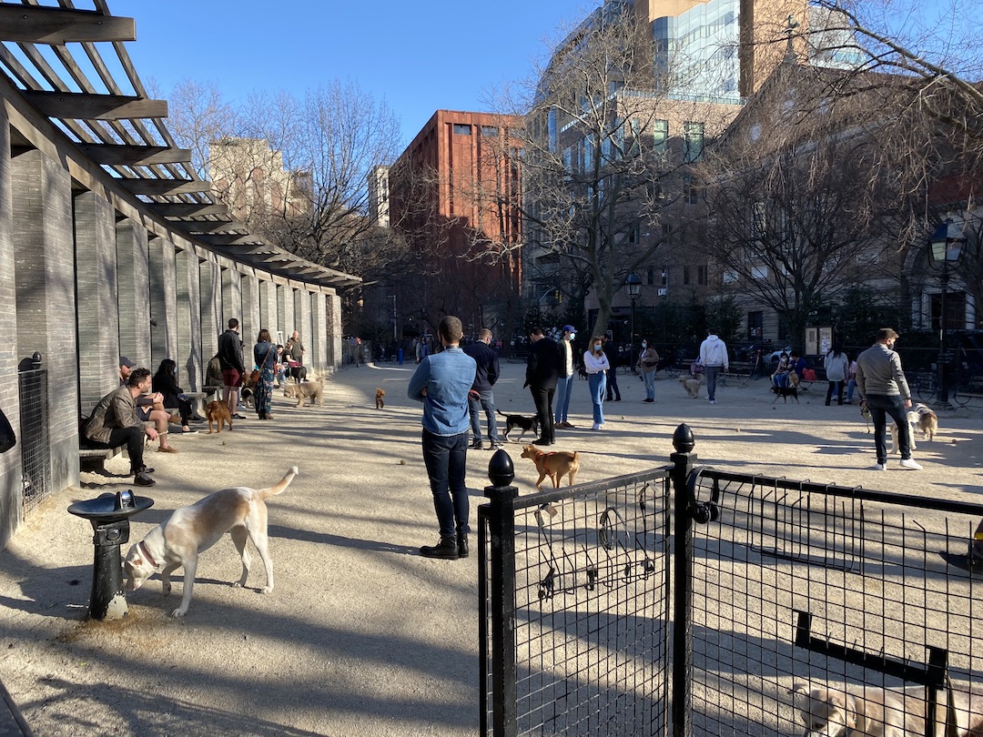 Washington Square Park Dog Run