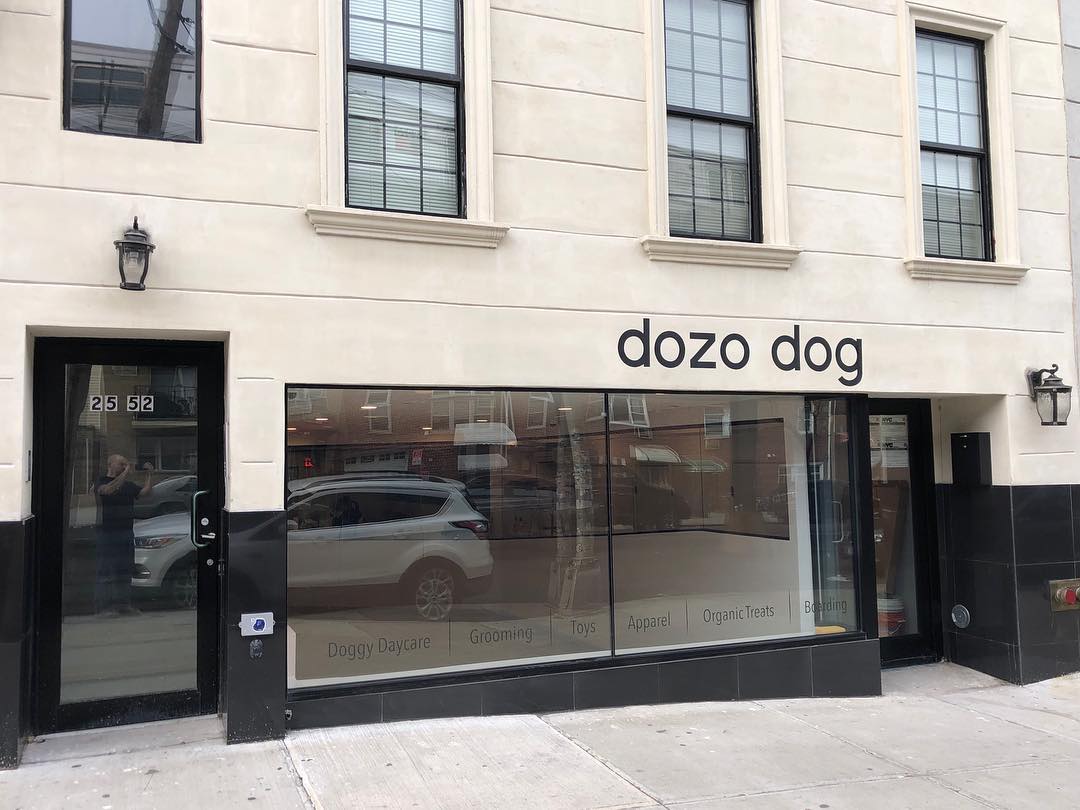 Dozo Dog
