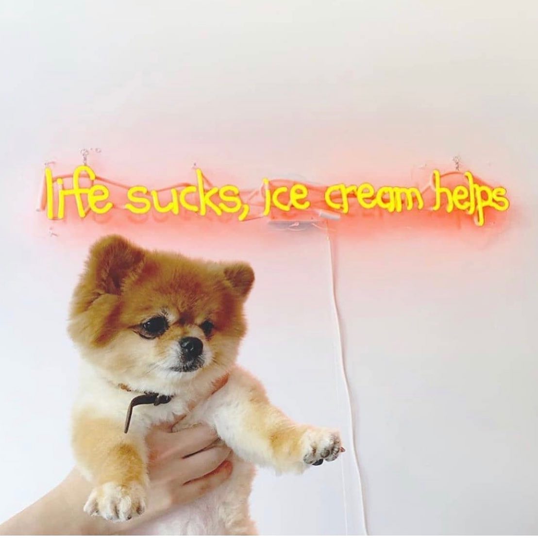 ollie’s ice cream + stuff