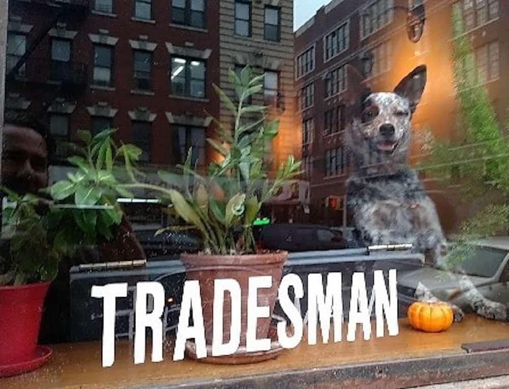 Tradesman