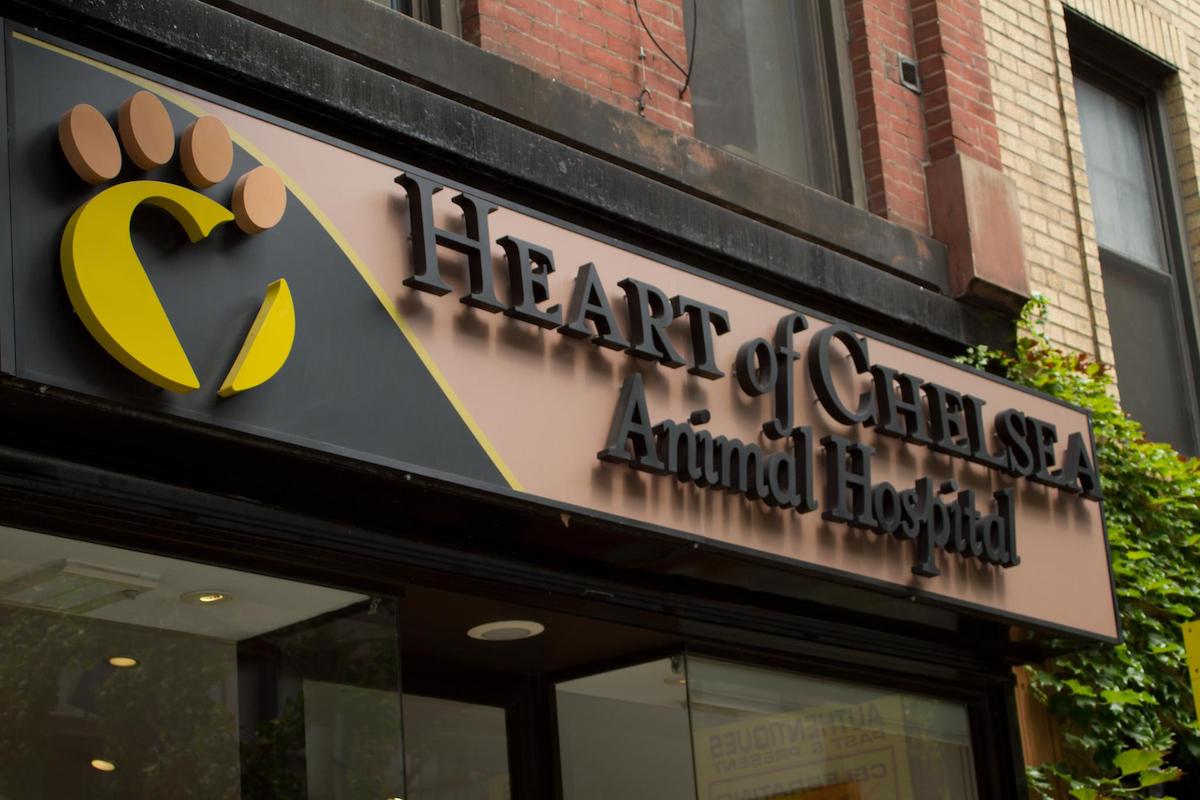 Heart of Chelsea Veterinary Group (Hell’s Kitchen)