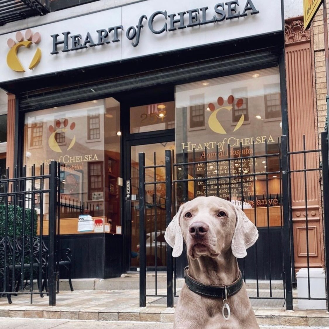 Heart of Chelsea Veterinary Group (Lower East Side)